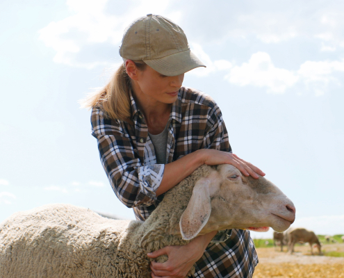 Eine Landwirtin streichelt ein weißes Schaf