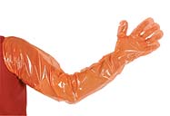 15364 Einmalhandschuhe VETbasic