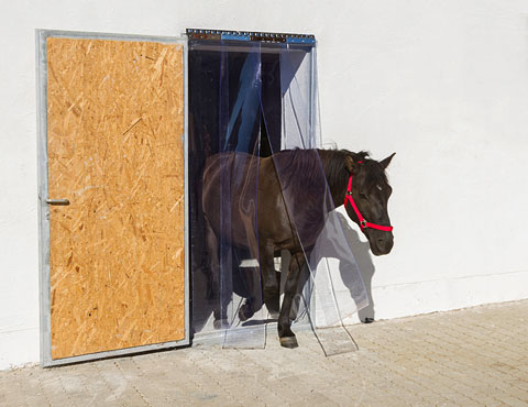 291150-20EkRCBbzZs0Snl