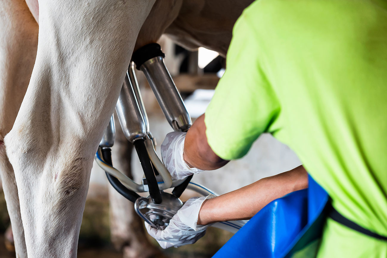 landwirtschaft-onlineshop