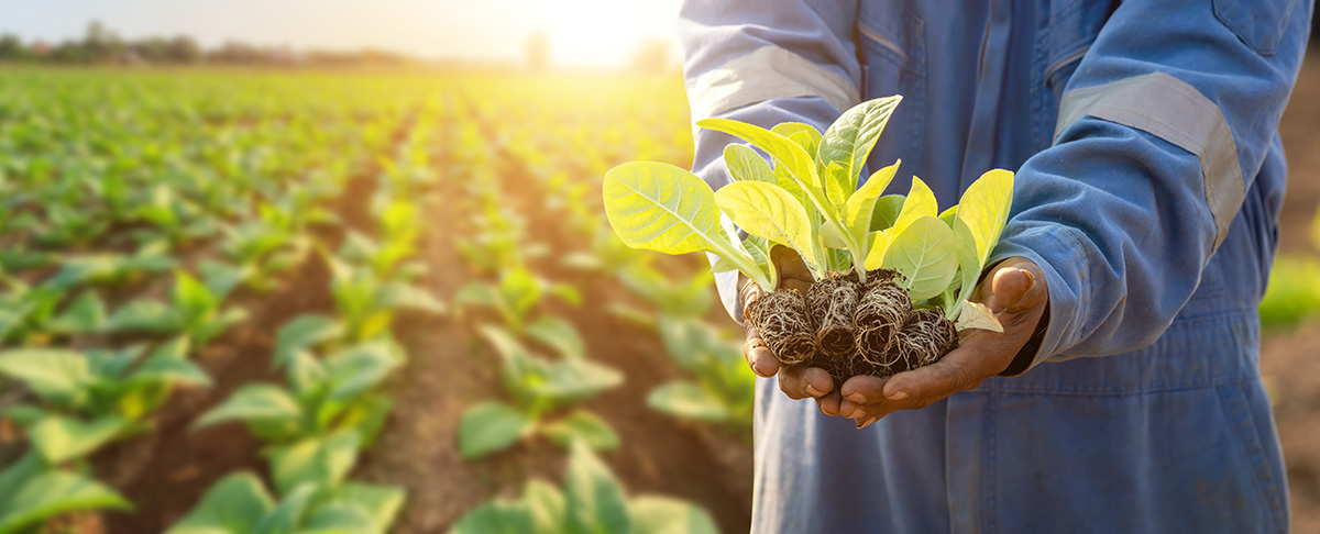 landwirtschaftsbedarf-onlineshop-kuederle
