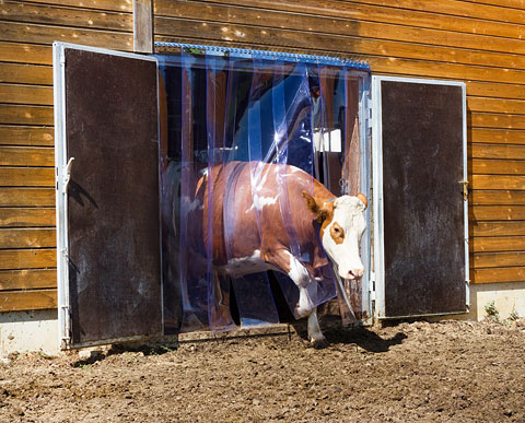 291150-27izXXwL9Yx3dcY